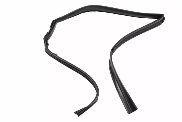 96857717 - : Rear Driver Side Door Window Channel for GM Image