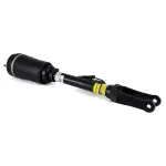 AS2463 - : Arnott Air Suspension Strut for Arnott Image