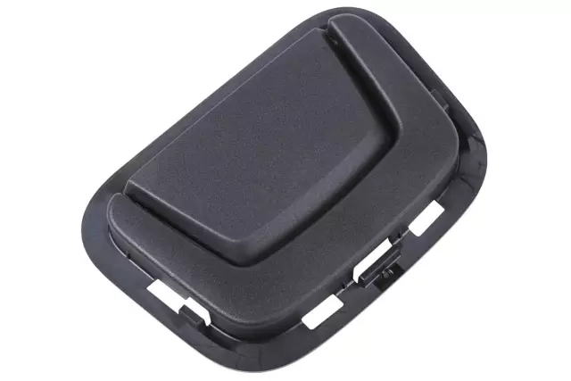 39081583 - Body: Handle for Buick: Regal TourX Image