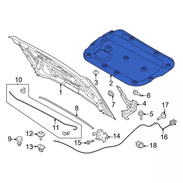 M2DZ16738C - : Hood Insulation Pad for Ford: Bronco Image