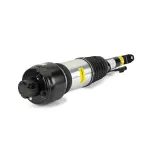 AS2301 - : Arnott Air Suspension Strut for Arnott Image