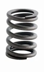 ERV812 - : Engine Valve Spring for Enginetech Image