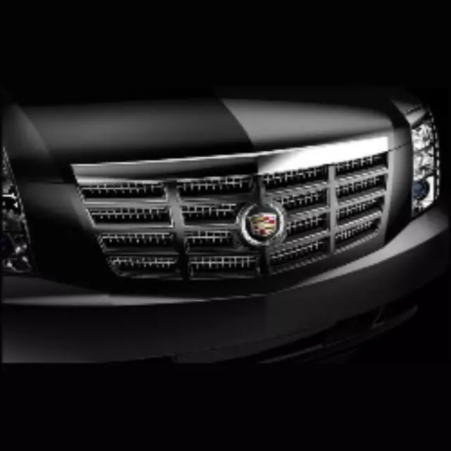 Exterior Trim, Grille Package - GM (19156281)