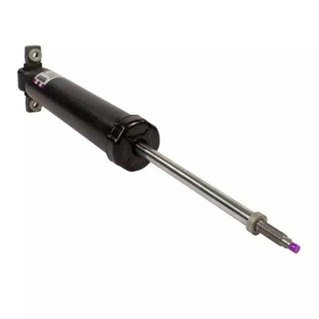 ASH85907 - : Shock Absorber Assembly for Ford Image