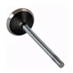 V4357 - : Engine Exhaust Valve for Enginetech Image