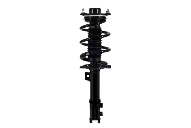 1333504R - Suspension &amp; Steering: Focus Auto Parts Suspension Strut and Coil Spring Assembly for Focus Auto Parts Image