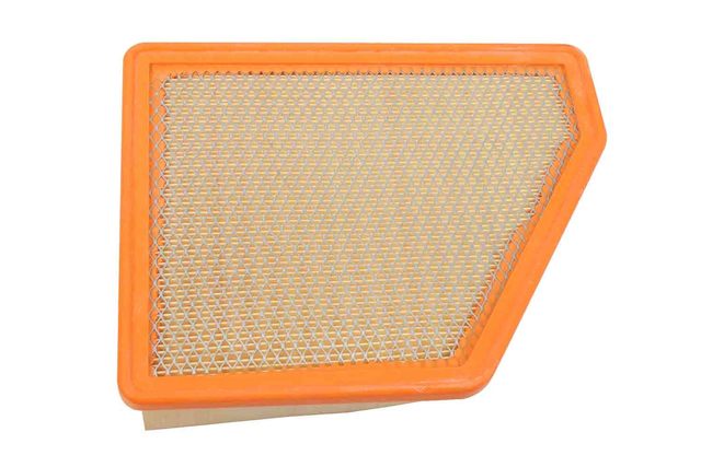 Acdelco™ Air Filter - GM (A3177C)