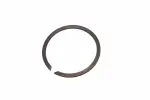 24253431 - : F Ring for GM Image
