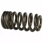 BR3Z6513A - : Valve Springs for Ford: F-150, Mustang Image