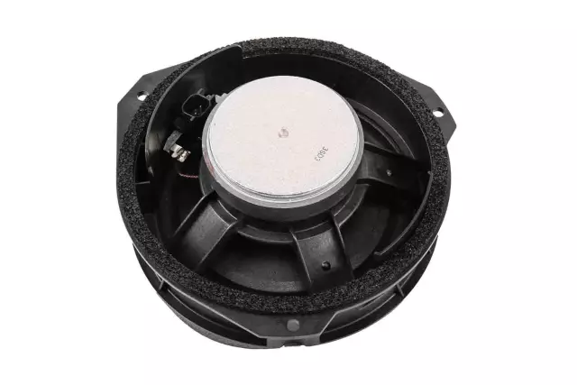 25802875 - Body: Front Dr Speaker for Chevrolet: Equinox | GMC: Terrain Image