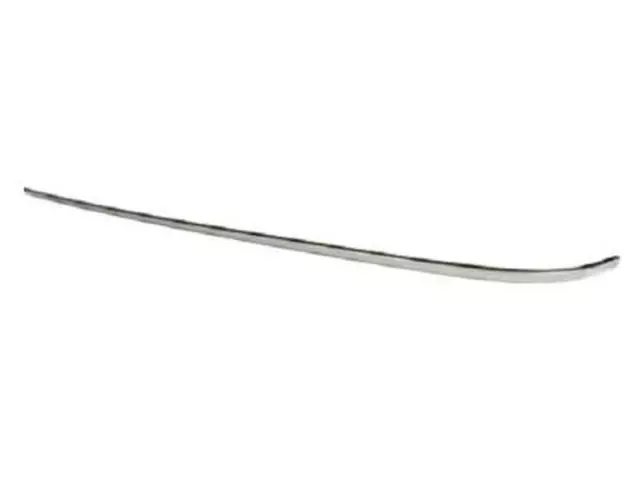 Belt Molding - Ford (8A8Z-74423A18-AA)