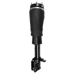 18174001 - : Unity Automotive Air Suspension Strut for Unity Automotive Image