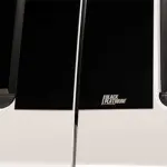 19353841 - : Exterior Trim, Pillar Posts, Black Platinum for Chevrolet: Colorado | GMC: Canyon Image