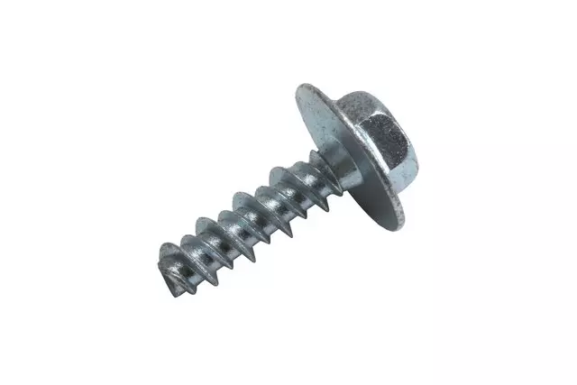 Door Armrest Bolt - GM (12482421)