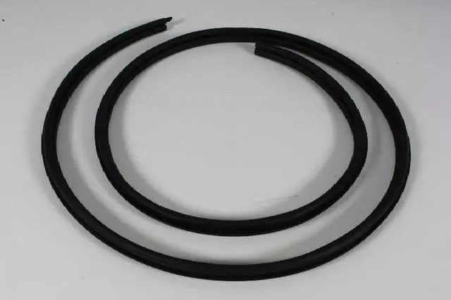 XW42XXXAA - Doors and Related Parts: Front Door Opening Weatherstrip, Right for Chrysler: PT Cruiser Image