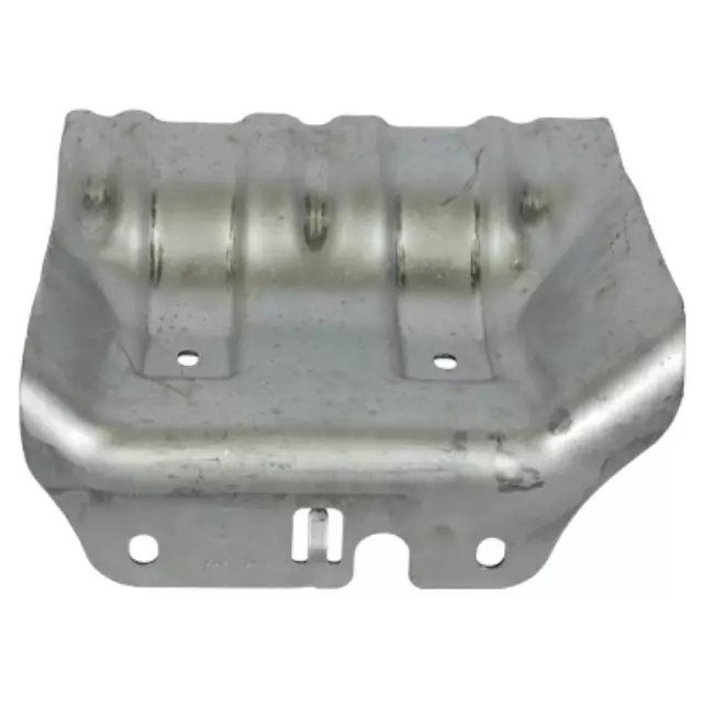 Front Plate - Ford (BL3Z-5D032-E)