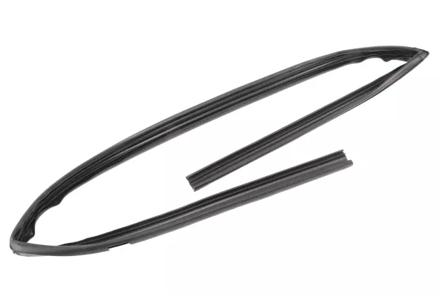 Driver Side Front Door Window Weatherstrip - GM (20944860)