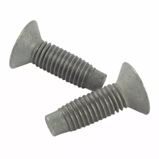 Striker Screw - Ford (W703283-S437M)