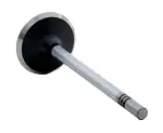 V3431 - : Engine Exhaust Valve for Enginetech Image
