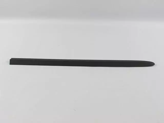 Front Door Molding, Right - Mopar (RQ44ZSPAA)