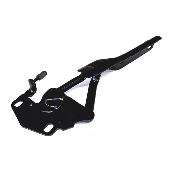 420823302B - Body: Hinge for Audi: R8 Image