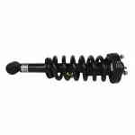 ASTL19 - : Suspension Strut and Coil Spring Assembl  for Motorcraft Image