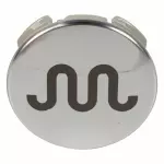 FL3Z1130J - : Wheel Cap for Ford: Expedition, F-150 Image