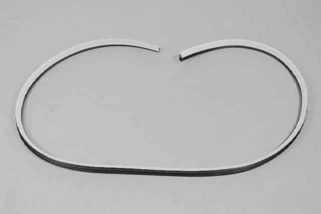 UW64DW1AD - Body Sheet Metal Except Doors: Rear Door Weatherstrip for Chrysler: 300 | Dodge: Charger, Magnum Image