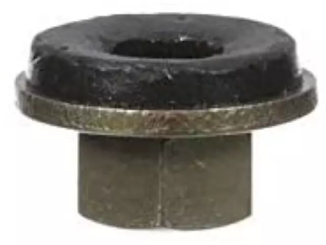 Spoiler Nut - Ford (N621926-S438)