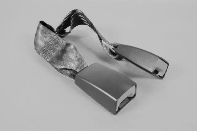 Rear Inner Seat Belt, Left - Mopar (1GD231K7AA)