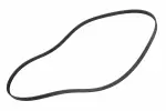 12627134 - : V-Ribbed Serpentine Belt for GM Image