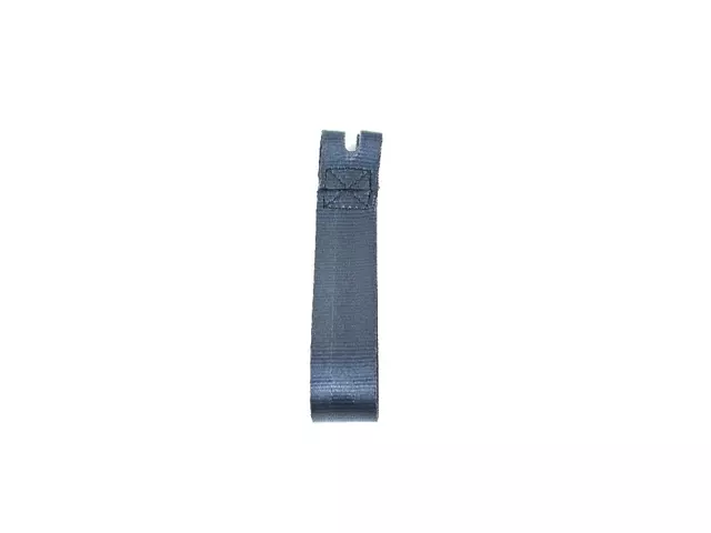 Assist Strap - Mopar (1VL64MBBAA)