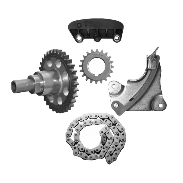 ZC90398SD - Engines &amp; Components: INA US Engine Timing Set for INA US Image
