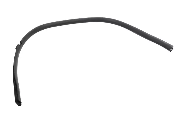 Passenger Side Rear Door Window Inner Weatherstrip - GM (20856459)