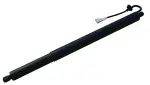 615193 - : Liftgate Lift Support for Tuff Support Image