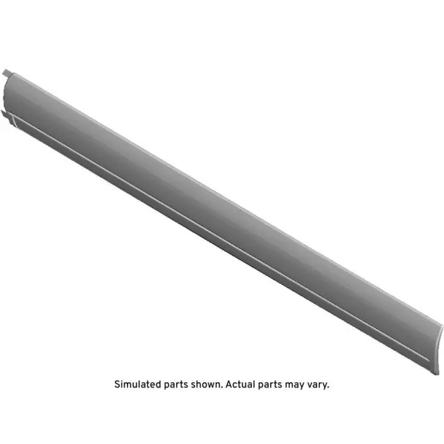 15169405 - Body: Body Side Molding for GM Image