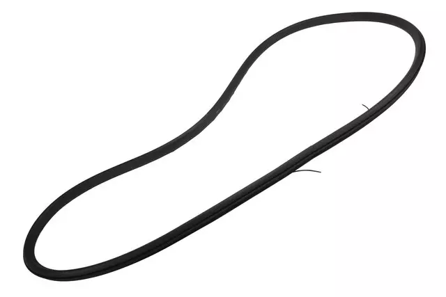 Passenger Side Door Weatherstrip - GM (25997406)