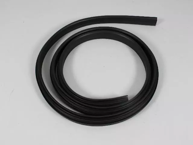 55359712AJ - Body: Surround Weather-strip for Ram: Dakota Image