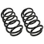 81697 - : Coil Spring Set for Moog Image
