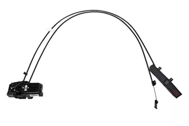 Ebony Front Driver Side Door Latch - ACDelco (22894949)