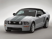Coupe Racing Stripes - Silver - Ford (6R3Z-7620000-AB)