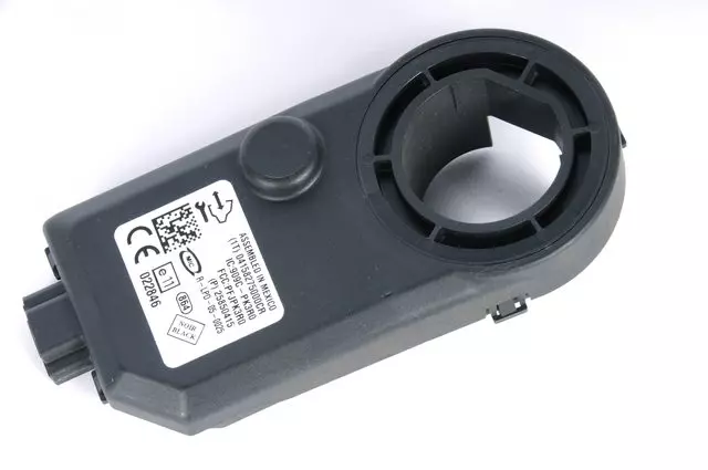 Ignition Immobilizer Module - GM (25850415)