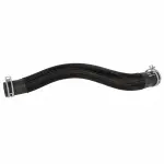 KM5423 - Belts &amp; Cooling: Motorcraftâ„¢ Radiator Coolant Hose for Ford: Mustang Image