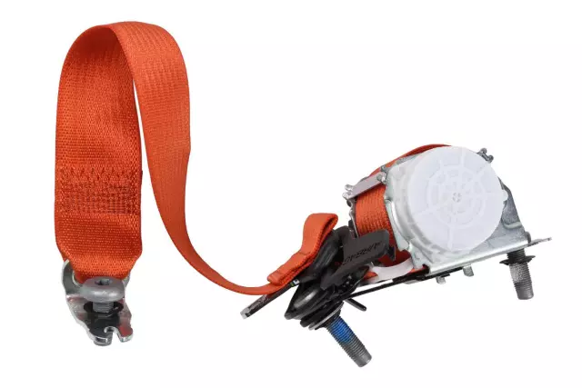 19355847 - : F Belt Kit for Chevrolet: Camaro Image