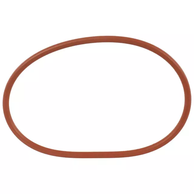 LU5Z9276A - Fuel System: Gasket for Ford: Bronco, Ranger | Lincoln: Aviator Image