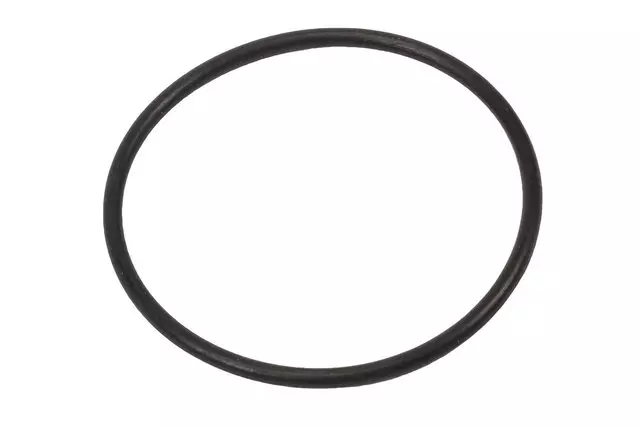 15879133 - Body: Power Brake Booster Gasket for GM Image