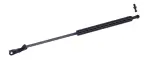 612692 - : Liftgate Lift Support for Tuff Support Image