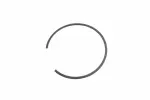 24299135 - : F (S)Ring for GM Image