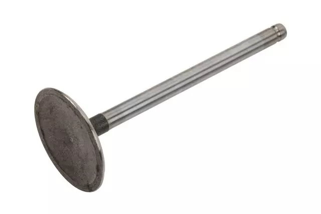 Engine Intake Valve - GM (12577696)
