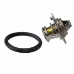 RT1161 - Cooling System: Motorcraftâ„¢ Thermostat for Ford: Aerostar, Bronco II, Explorer, Ranger Image